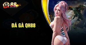 Đá gà QH88 là gì?